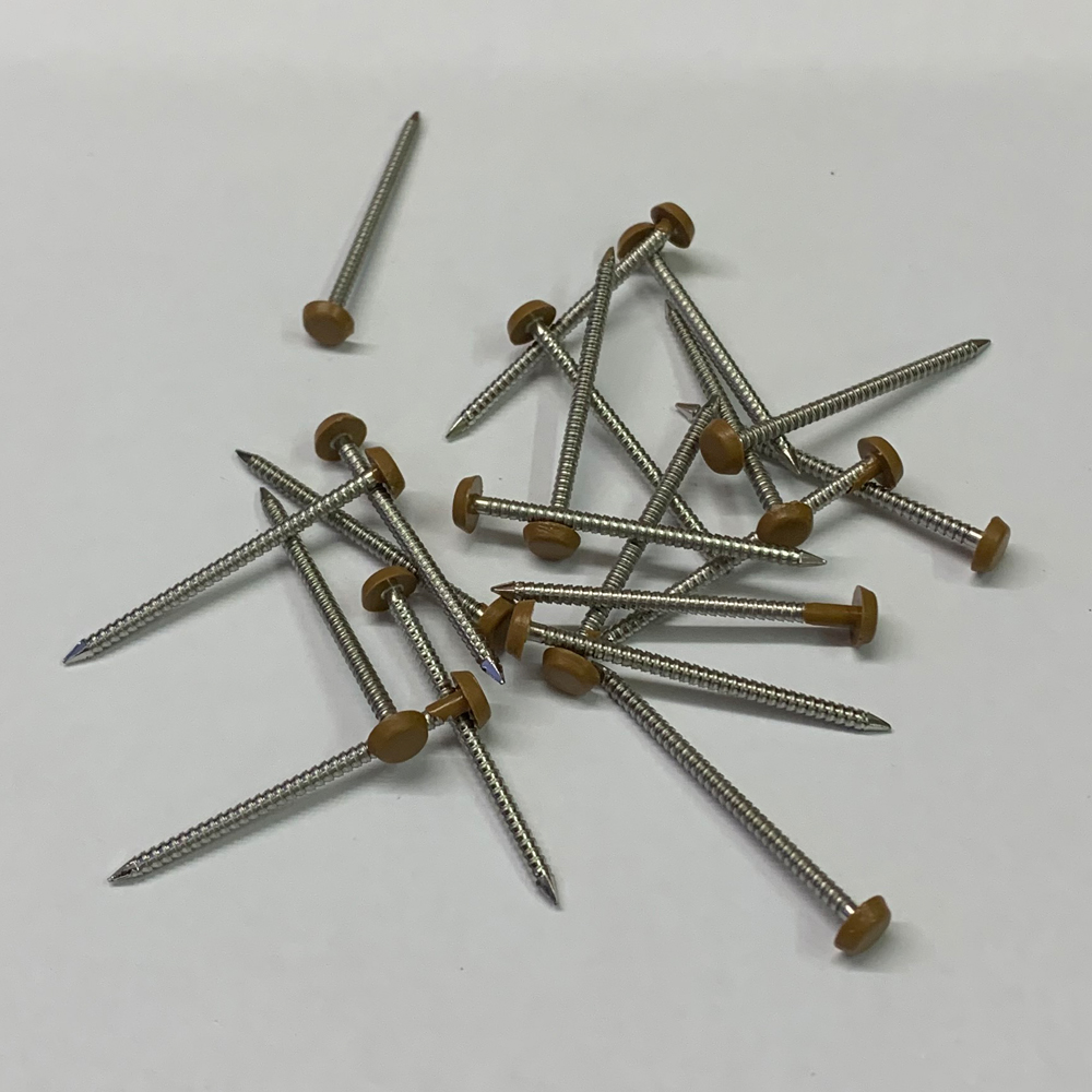 Polytop Pins 40mm Golden Brown 5 - A4 Stainless Steel Ring Shank Pins Gauge 14